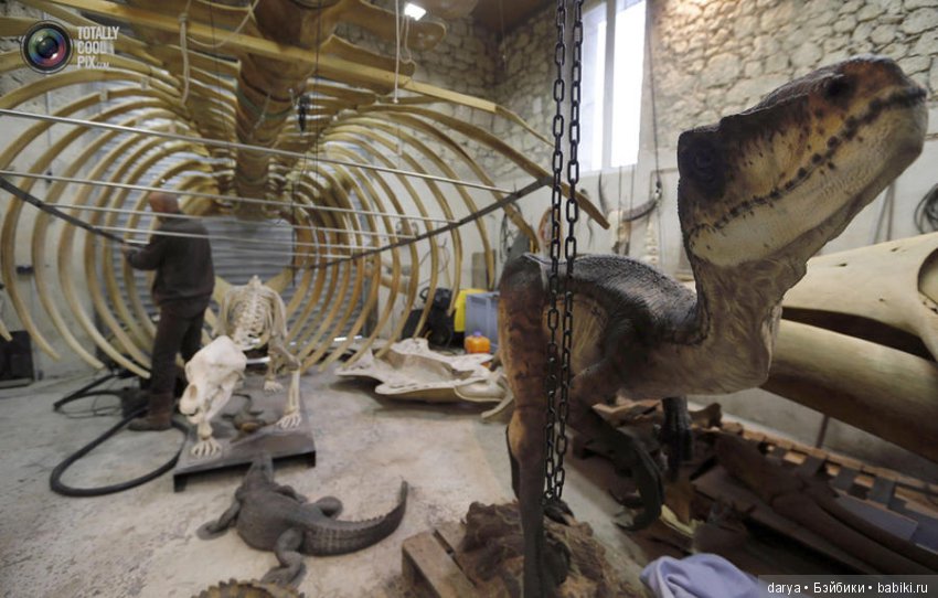 Скульптор-анималист из Бельгии (фото 2)