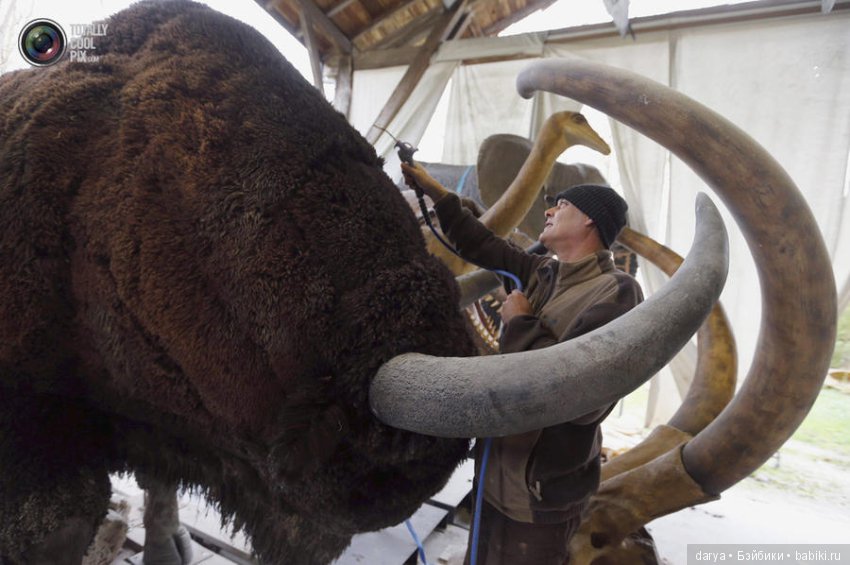 Скульптор-анималист из Бельгии (фото 7)