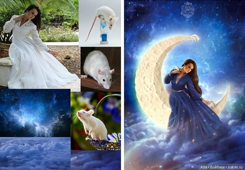 Удивительные фотоколлажи Виктории Солидарных