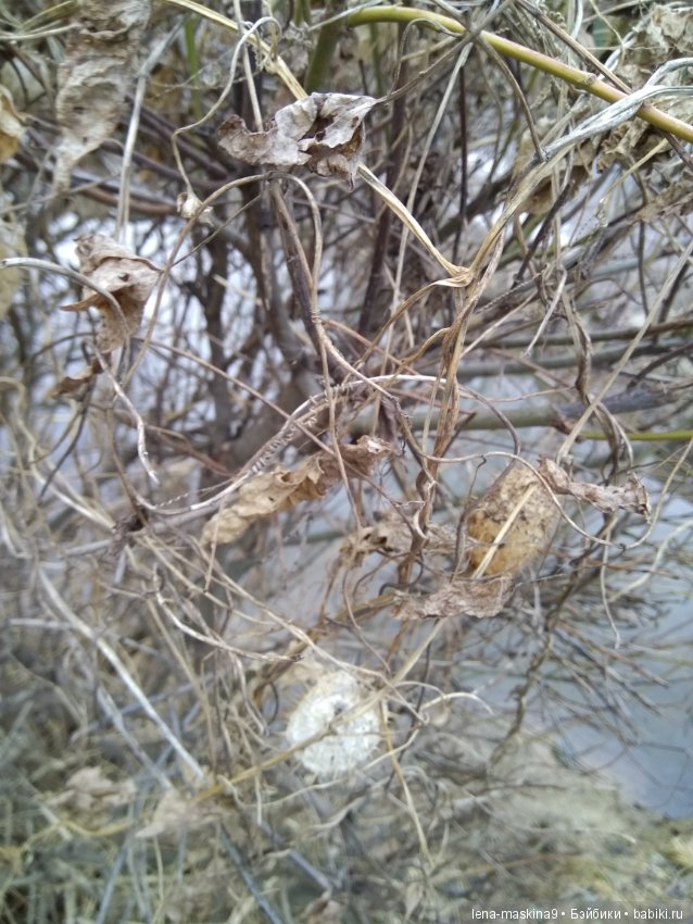 С другом в дороге веселей:))