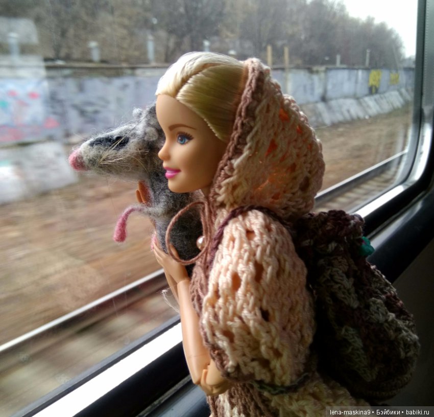 С другом в дороге веселей:)) (фото 9)