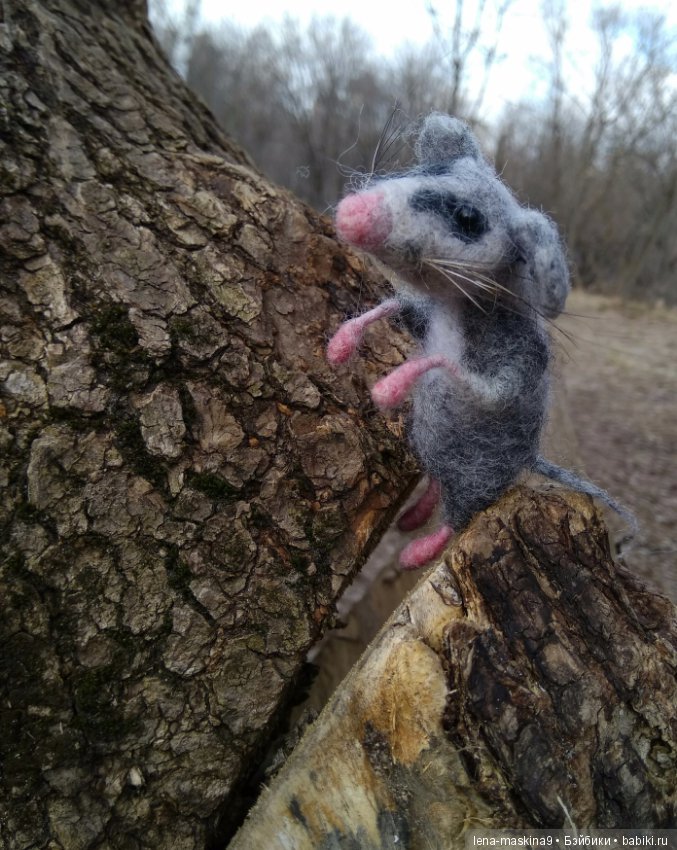 С другом в дороге веселей:))