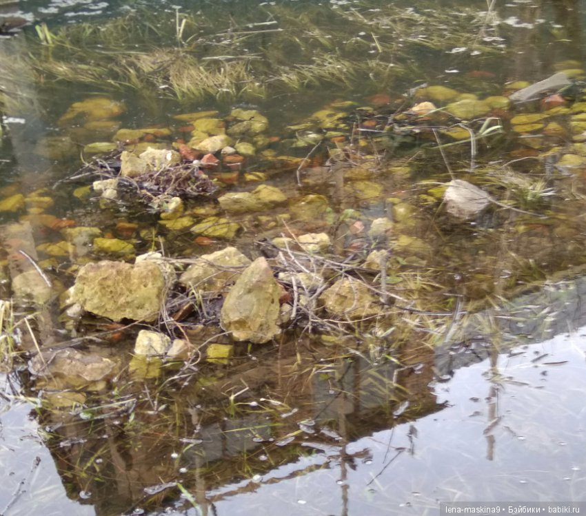 С другом в дороге веселей:))