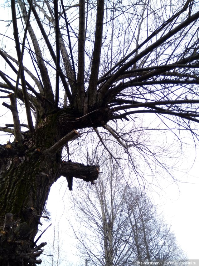 С другом в дороге веселей:))