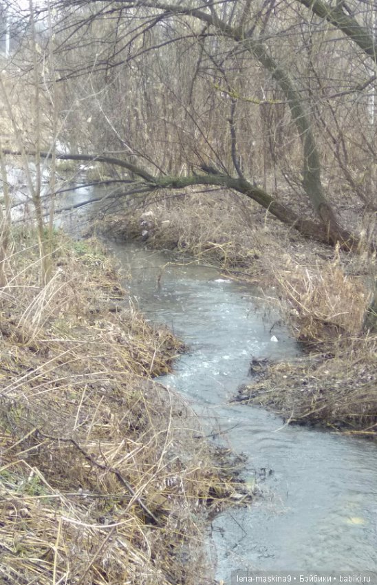 С другом в дороге веселей:))