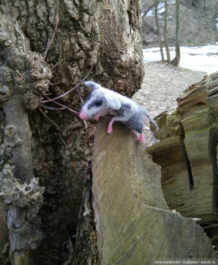 С другом в дороге веселей:))