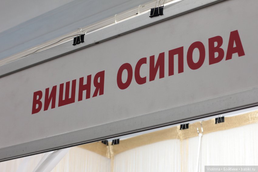 [Mosfair 2017.] Международная выставка кукол и мишек Тедди. Куклы реборн. Фотообзор