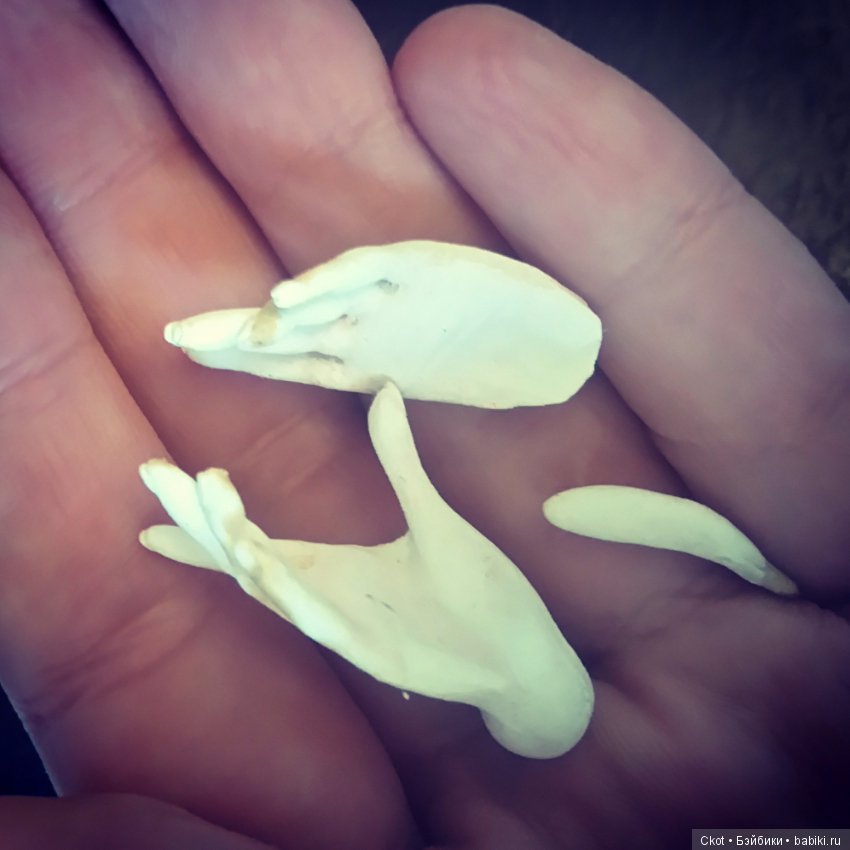 Поэтапка по созданию шарнирной куклы