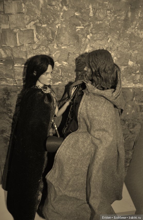 Арагорн и Арвен — Коллекционные экшн (фото 10)