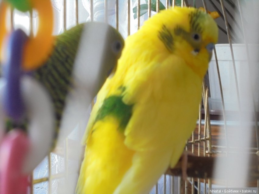 Болталка и разговоры обо всем: жизнь