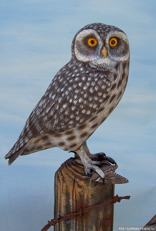 Деревянные скульптуры птиц от скульптора Tim McEachern (фото 10)