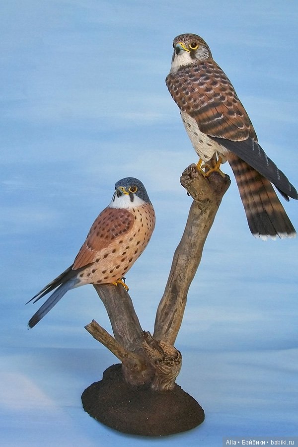 Деревянные скульптуры птиц от скульптора Tim McEachern (фото 9)