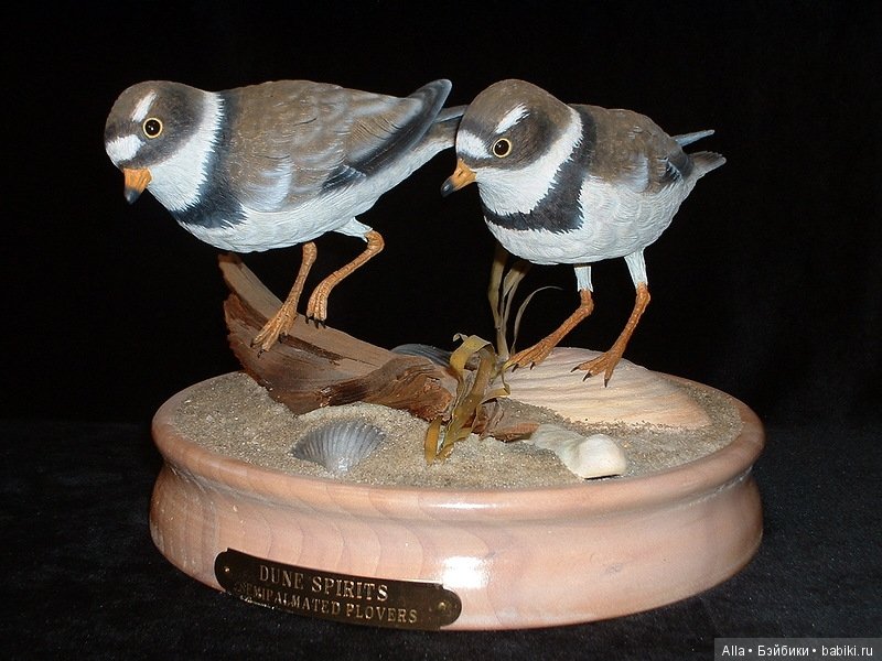 Деревянные скульптуры птиц от скульптора Tim McEachern