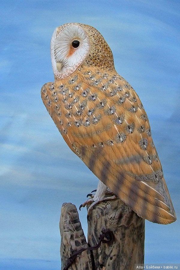 Деревянные скульптуры птиц от скульптора Tim McEachern (фото 8)