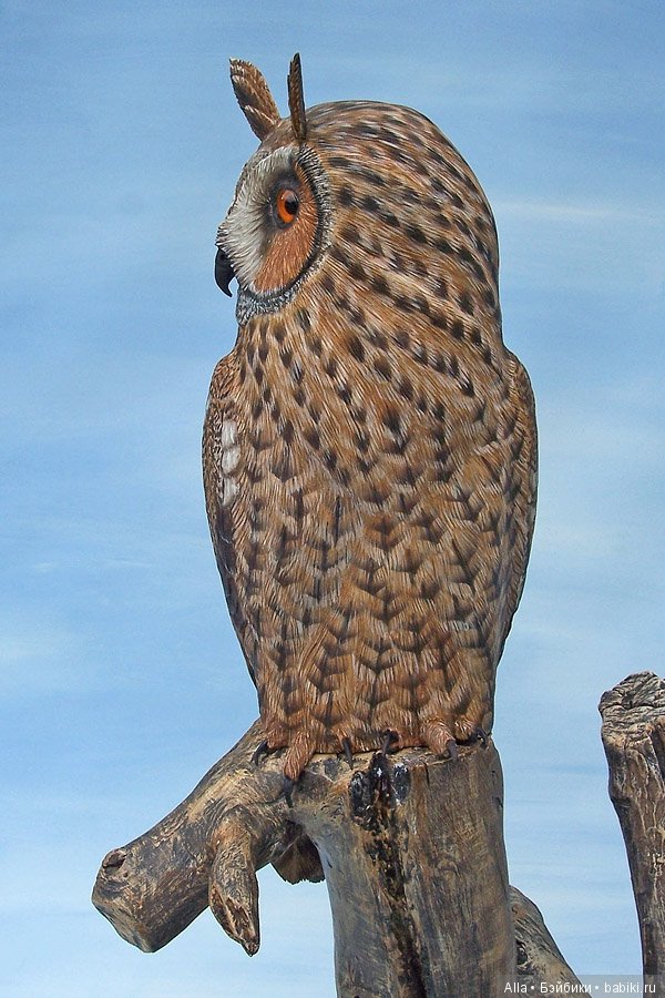 Деревянные скульптуры птиц от скульптора Tim McEachern (фото 7)