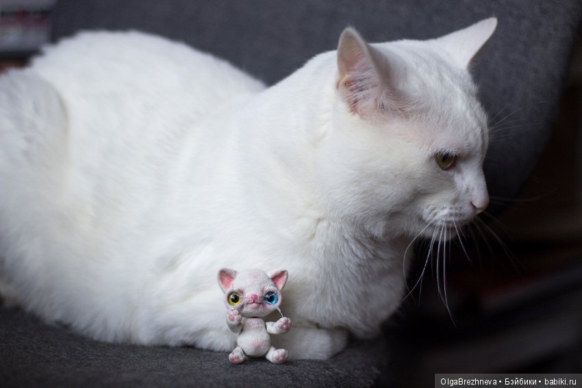 Посылочка от mila кабочкиной (фото 6)