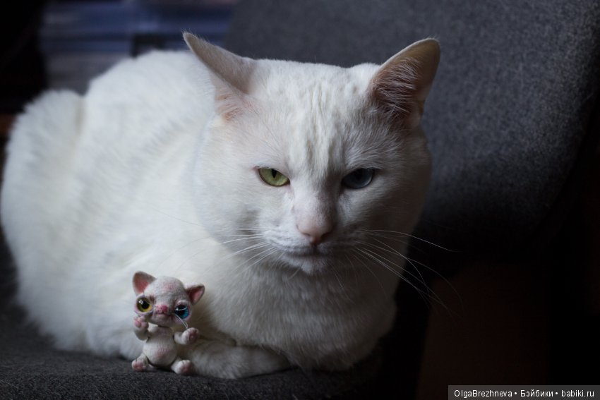 Посылочка от mila кабочкиной (фото 8)