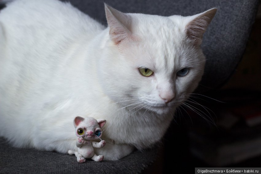 Посылочка от mila кабочкиной (фото 7)