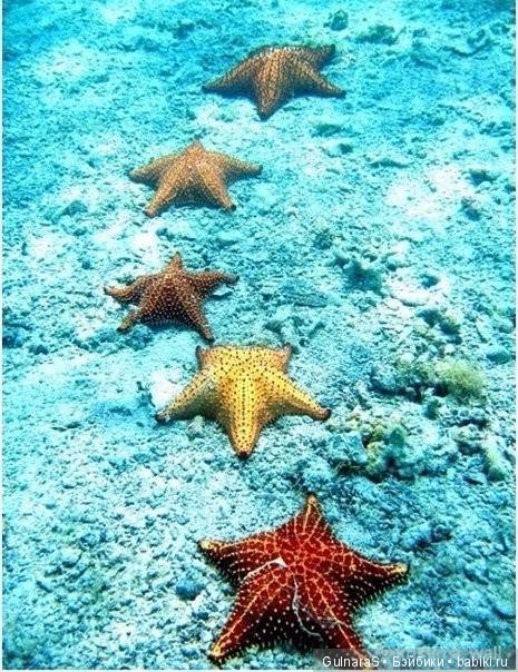 Текстильная авторская кукла (фото 4)