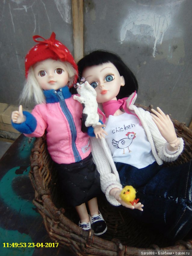 Изабелла и Криша выгуливают питомцев