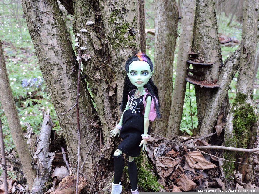 Лесные прогулки — ООАК Monster High и Ever After High: репейнт