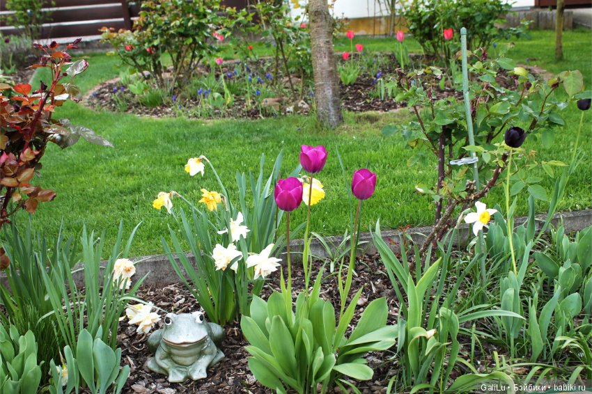 Краски весны — Болталка и разговоры обо всем: жизнь