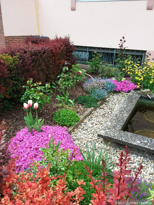 Краски весны — Болталка и разговоры обо всем: жизнь (фото 7)