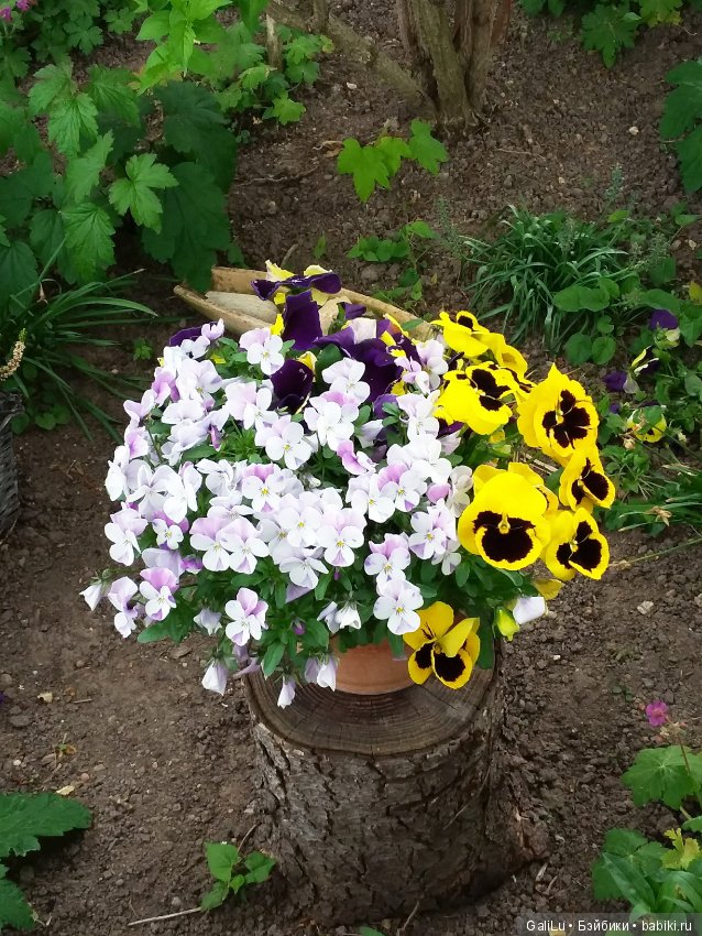 Краски весны — Болталка и разговоры обо всем: жизнь