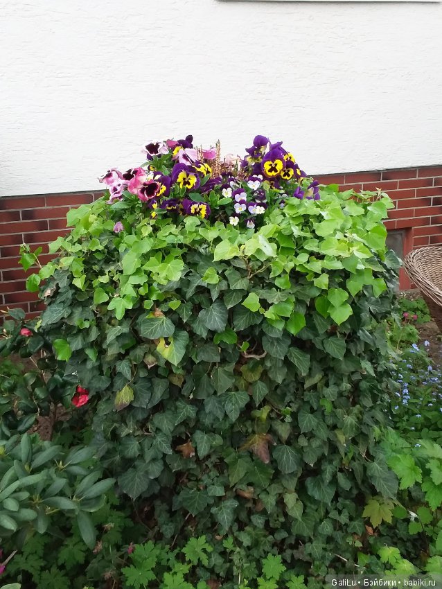 Краски весны — Болталка и разговоры обо всем: жизнь