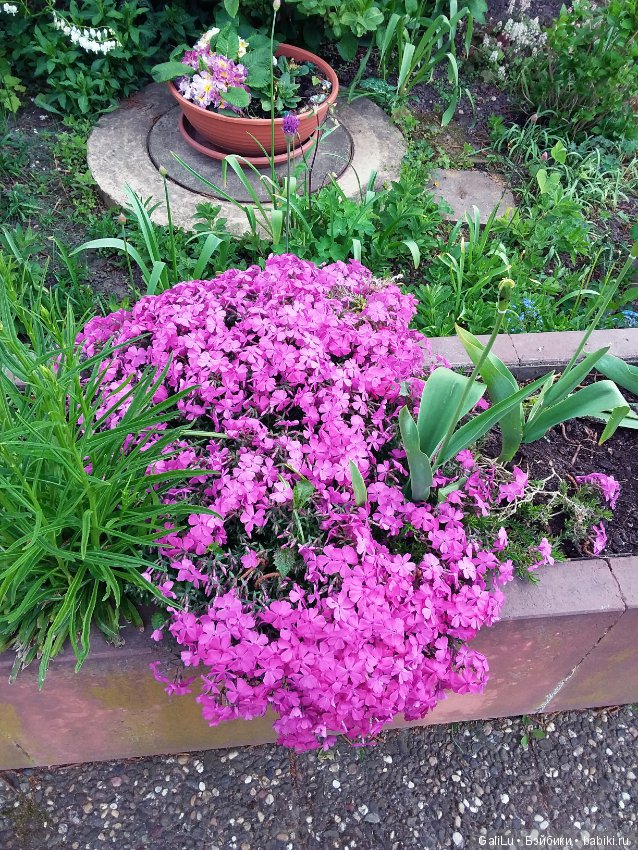 Краски весны — Болталка и разговоры обо всем: жизнь