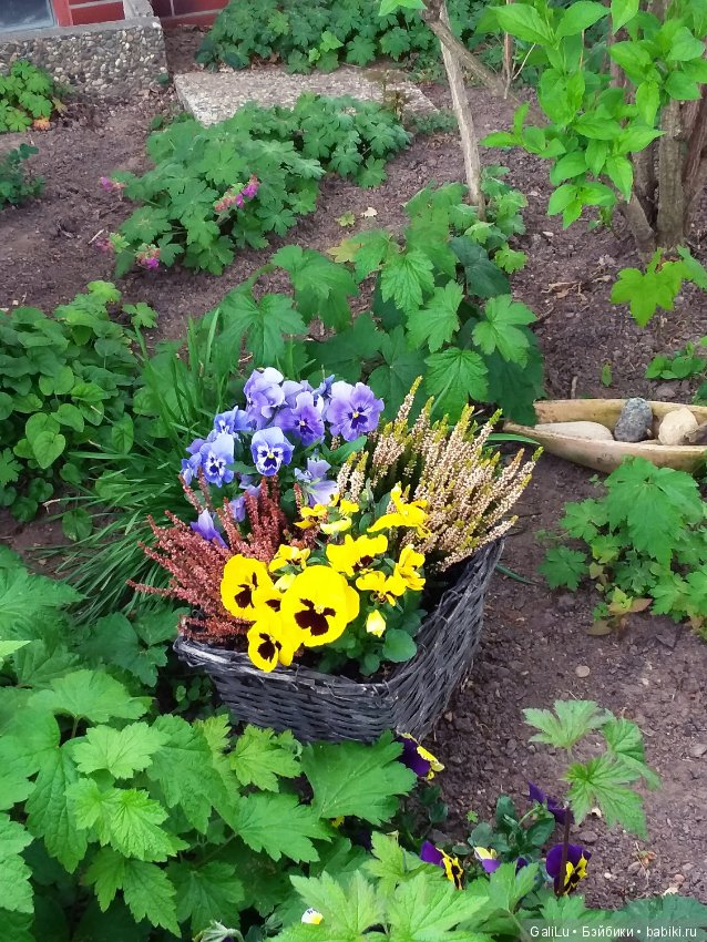 Краски весны — Болталка и разговоры обо всем: жизнь