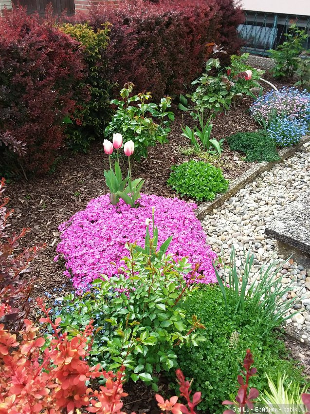 Краски весны — Болталка и разговоры обо всем: жизнь (фото 6)