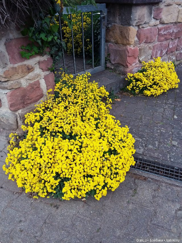 Краски весны — Болталка и разговоры обо всем: жизнь