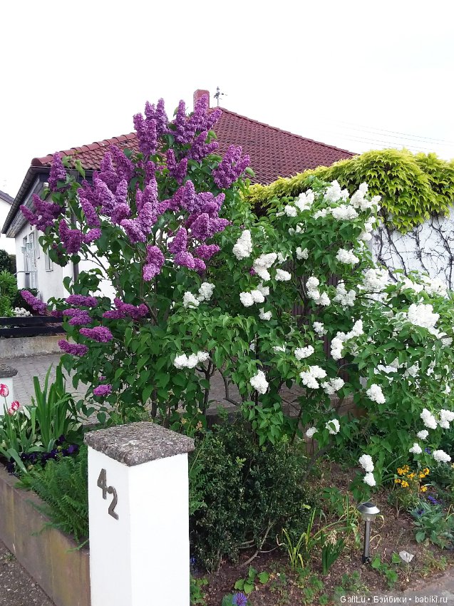 Краски весны — Болталка и разговоры обо всем: жизнь