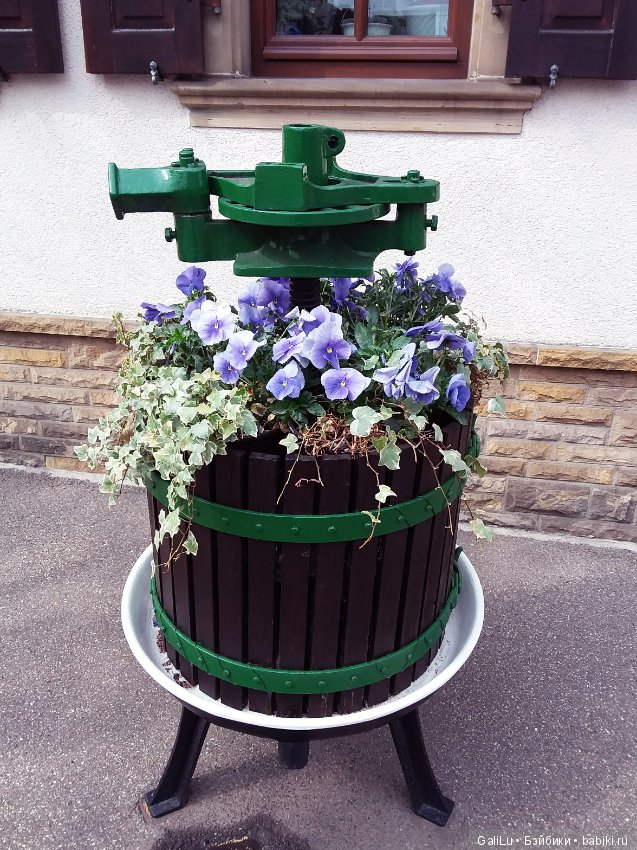 Краски весны — Болталка и разговоры обо всем: жизнь