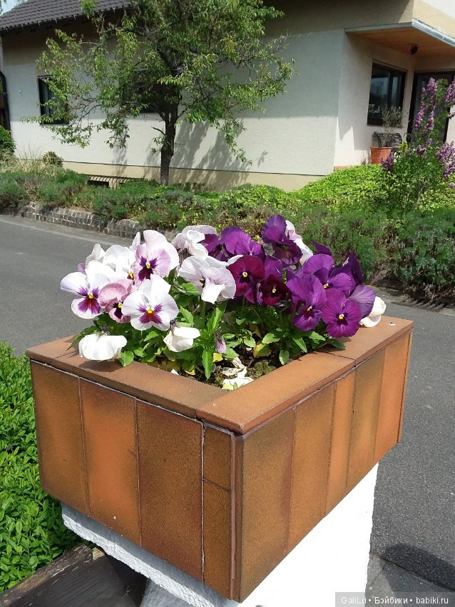 Краски весны — Болталка и разговоры обо всем: жизнь (фото 4)