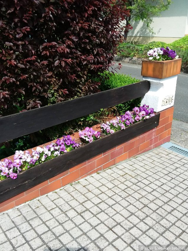 Краски весны — Болталка и разговоры обо всем: жизнь (фото 5)