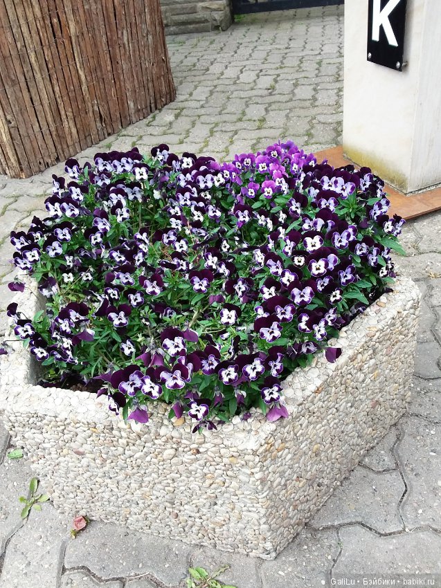 Краски весны — Болталка и разговоры обо всем: жизнь