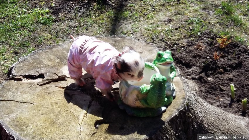 Малыш реборн свинка — Куклы Реборн (Reborn): работы мастеров