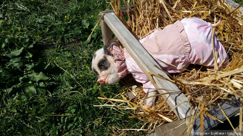 Малыш реборн свинка — Куклы Реборн (Reborn): работы мастеров