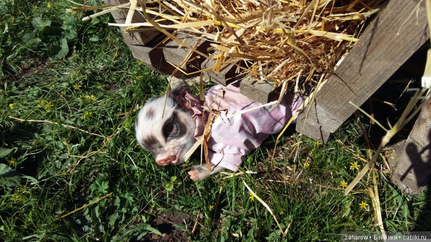 Малыш реборн свинка — Куклы Реборн (Reborn): работы мастеров