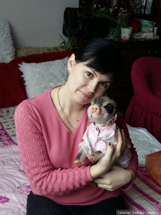 Малыш реборн свинка — Куклы Реборн (Reborn): работы мастеров