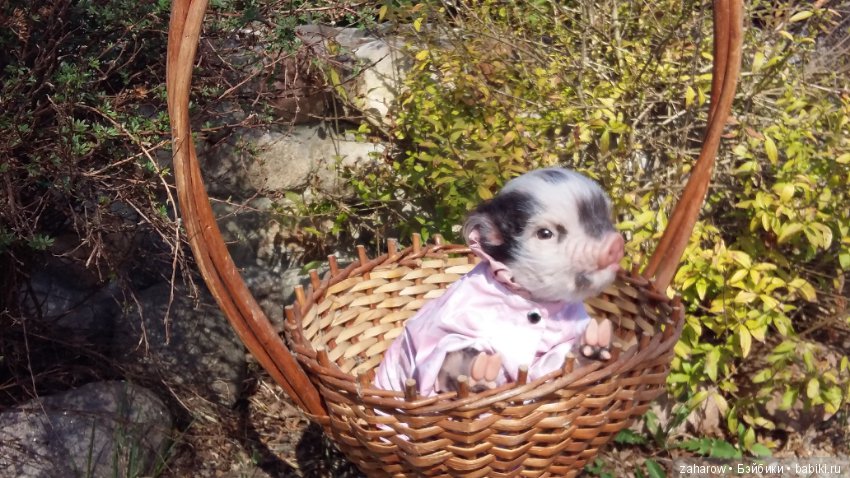 Малыш реборн свинка — Куклы Реборн (Reborn): работы мастеров