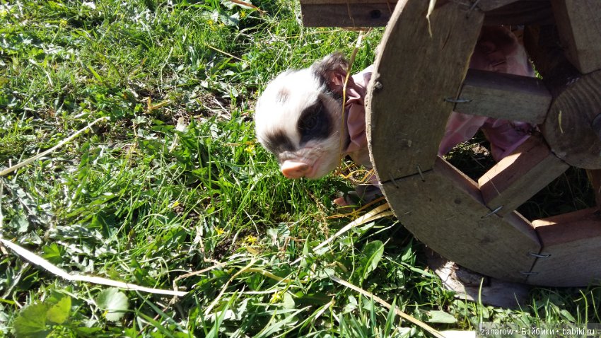 Малыш реборн свинка — Куклы Реборн (Reborn): работы мастеров