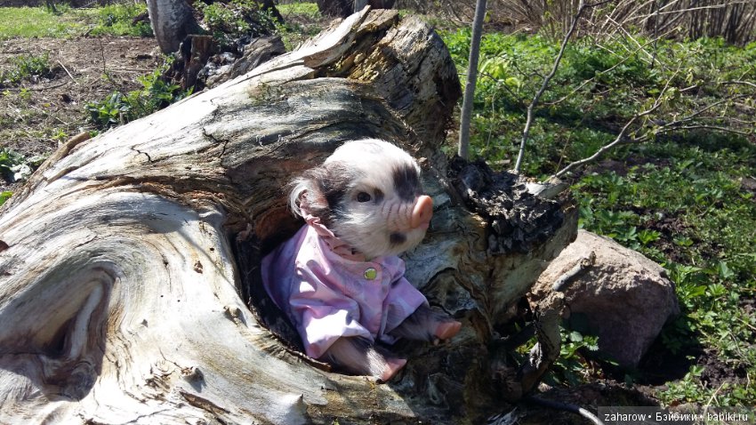 Малыш реборн свинка — Куклы Реборн (Reborn): работы мастеров (фото 2)