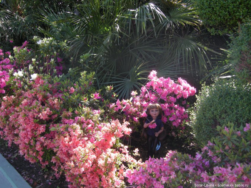 Весенние путешествия — Туризм и путешествия: фотоотчеты из поездок (фото 9)