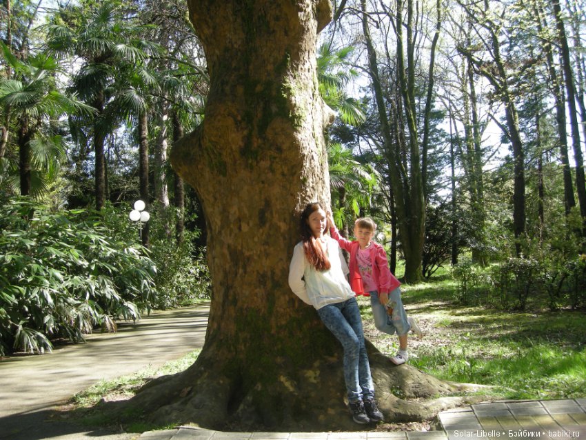 Весенние путешествия — Туризм и путешествия: фотоотчеты из поездок