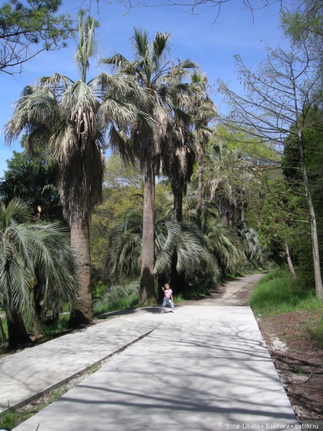 Весенние путешествия — Туризм и путешествия: фотоотчеты из поездок