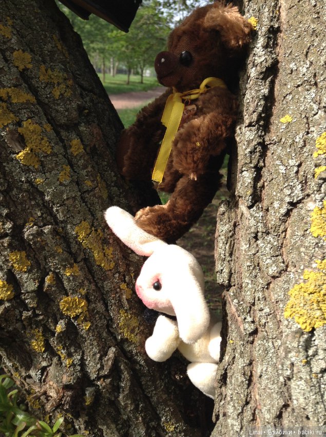 Почти лето или цветочное настроение паолочек