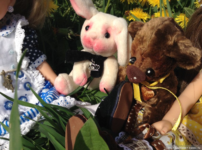 Почти лето или цветочное настроение паолочек